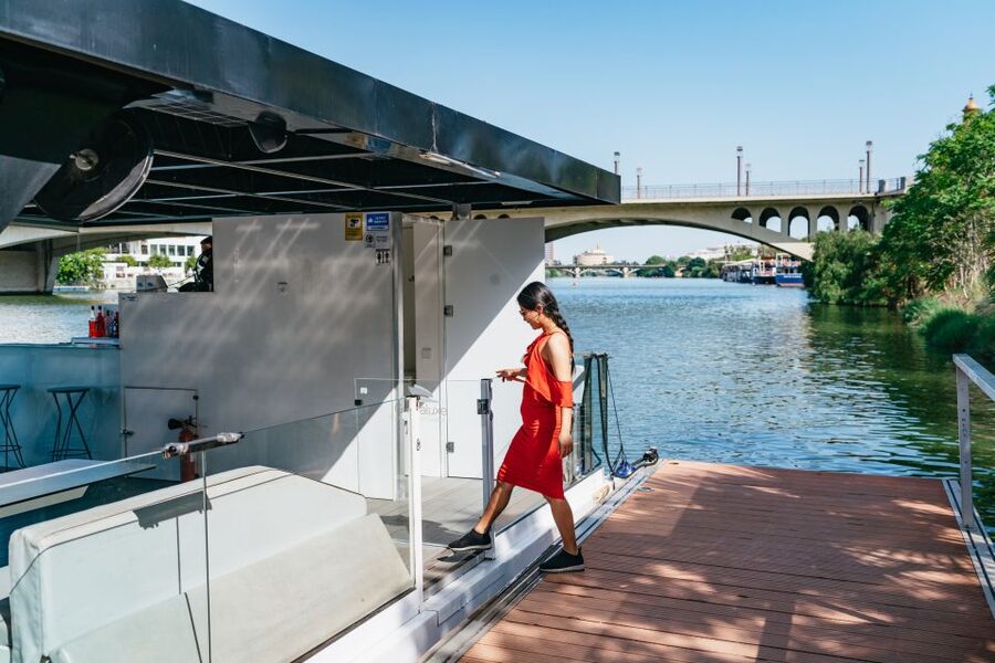 Seville: 1-Hour Guadalquivir River Sightseeing Eco Cruise - Who This Cruise Fits Best in Seville