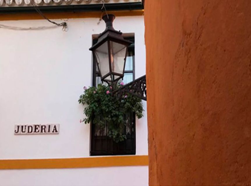 Seville: 1-Hour Walking Tour Barrio de Santa Cruz - Meeting Points Near Real Alcázar and How to Find the Group