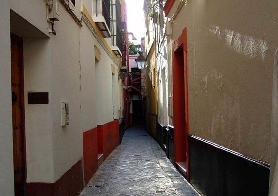 Seville: 1-Hour Walking Tour Barrio de Santa Cruz - Who Should Book This Tour (and Who Should Skip It)