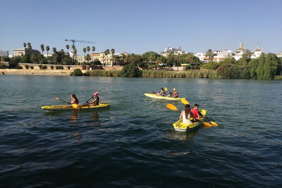 Seville: 2–Hour Guadalquivir River Kayaking Tour - Who this kayak tour suits best (and who should think twice)