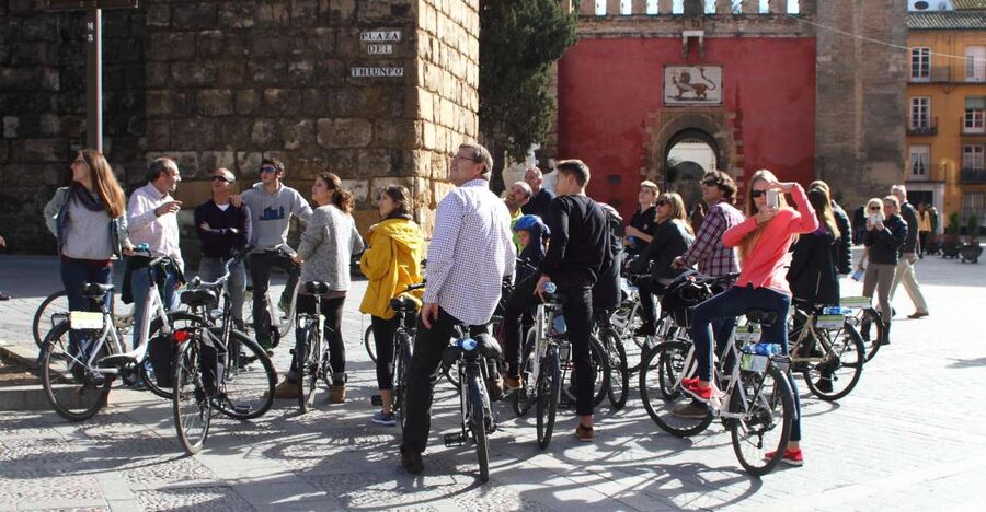 Seville: 3–Hour Sightseeing Tour - Plaza del Salvador, Plaza de San Francisco, and Plaza Nueva: Seville’s Center Stage