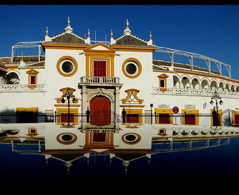 Seville 4-Hour Guided Walking Tour - City Hall and Plaza Nueva: the warm-up that sets the tone