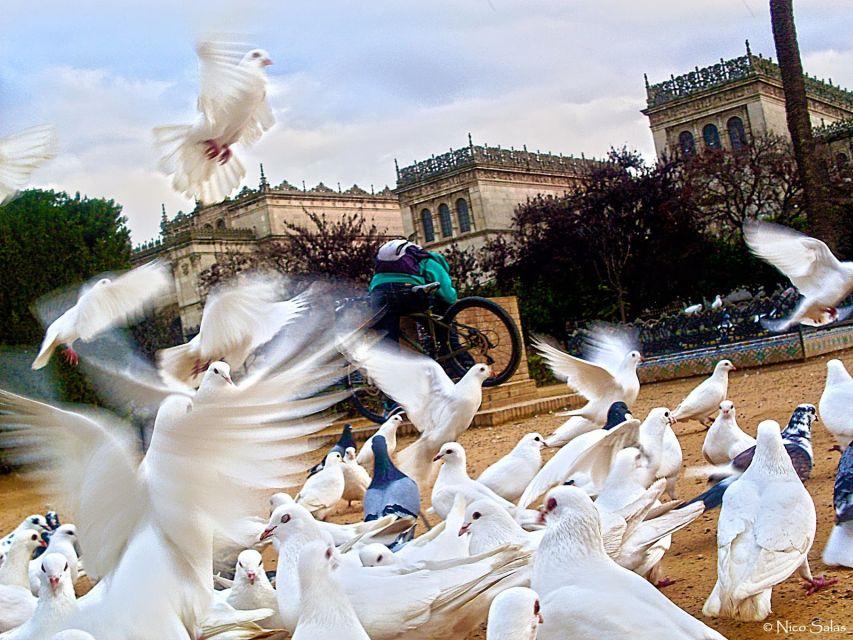 Seville 4-Hour Guided Walking Tour - San Telmo Palace and the bullring zone: façades you can read