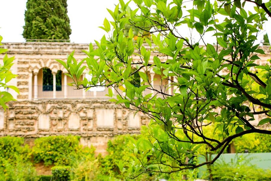 Seville: Alcazar Skip-the-Line Guided Tour with Tickets - Should You Book This Seville Alcázar Skip-the-Line Tour?