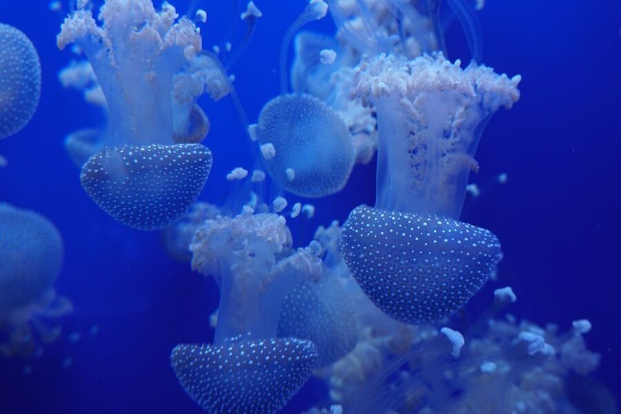 Seville Aquarium Admission Ticket - On-Site Comfort: Shop, Coffee, and Food Reality