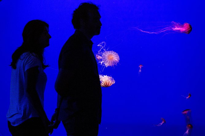 Seville Aquarium Admission Ticket - Skip-the-line and timing that actually works