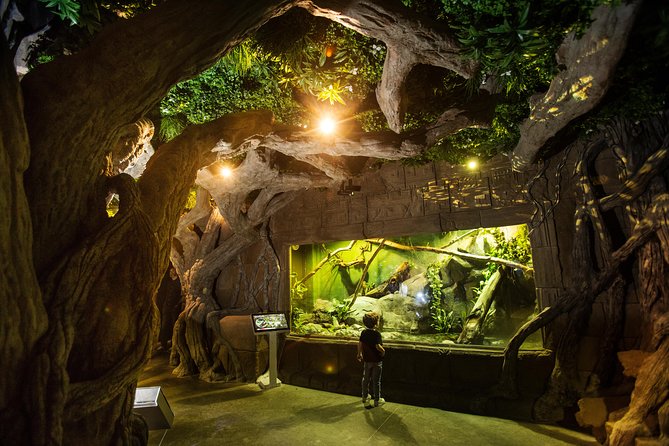 Seville Aquarium Admission Ticket - Price and value: is $20.37 worth it?
