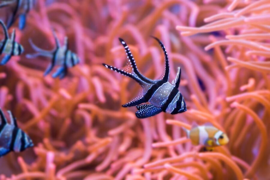 Seville Aquarium Admission Ticket - Getting There Without Stress: Bike, Bus, Metro, or Car