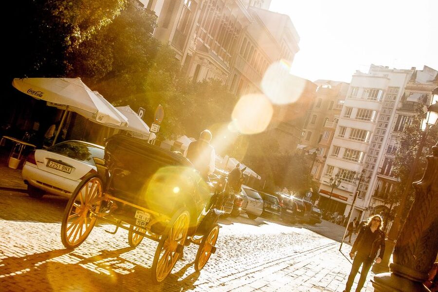 Seville: Authentic and Romantic Horse-Drawn Carriage Ride - Quick highlights: what you get in this Seville carriage ride