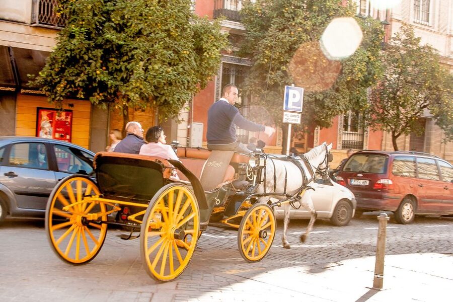 Seville: Authentic and Romantic Horse-Drawn Carriage Ride - Value and price: is $118 per group up to 4 a good deal?