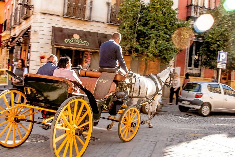 Seville: Authentic and Romantic Horse-Drawn Carriage Ride - Why this Seville carriage ride feels different than big sightseeing