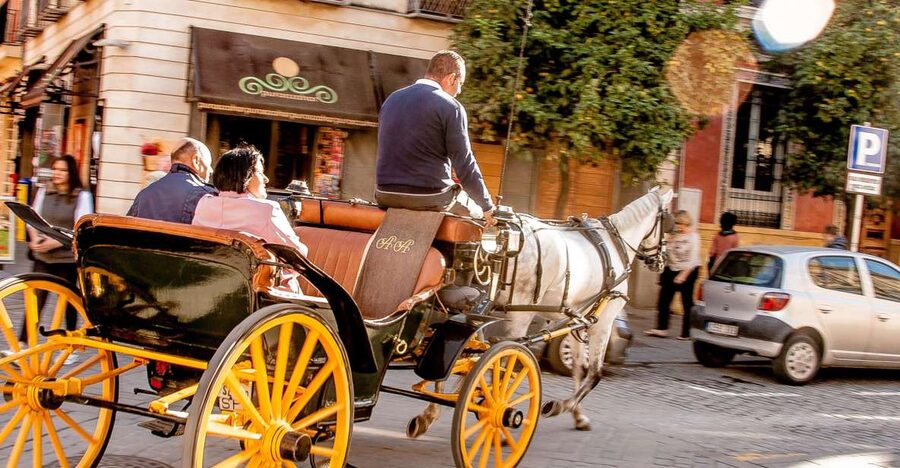 Seville: Authentic and Romantic Horse-Drawn Carriage Ride - Passing by Hotel Alfonso XIII: the “grand Seville” look