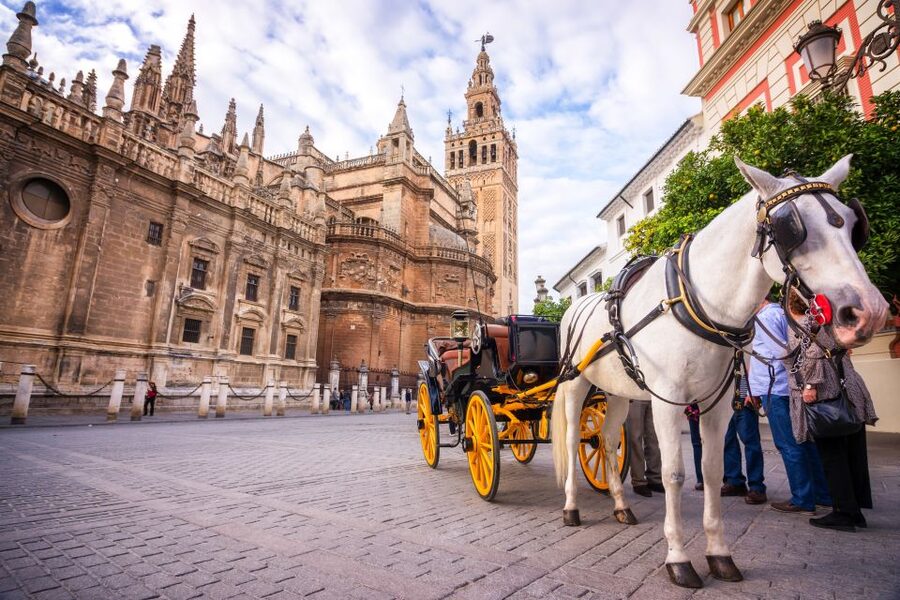 Seville: Authentic and Romantic Horse-Drawn Carriage Ride - What to bring: camera, comfort, and heat-proof basics