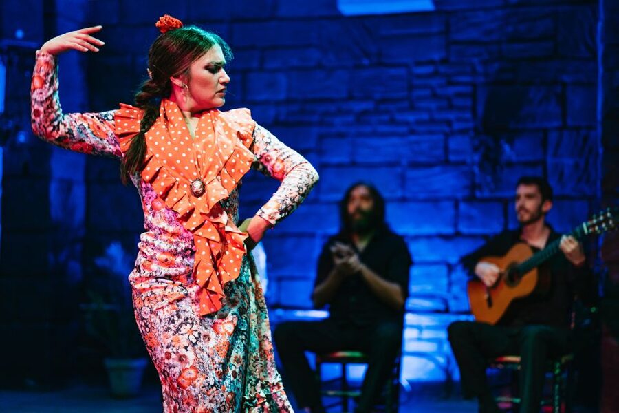 Seville: Baraka Sala Flamenca Show with Drink in Triana - How to act in a tablao: timing, phones, and kids