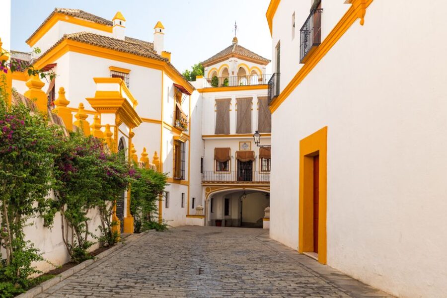 Seville: Barrio de Santa Cruz Small Group Walking Tour - Barrio Santa Cruz: why these streets feel different