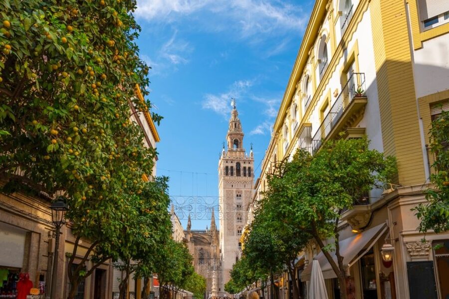 Seville: Barrio de Santa Cruz Small Group Walking Tour - Practical expectations for a Santa Cruz walking tour