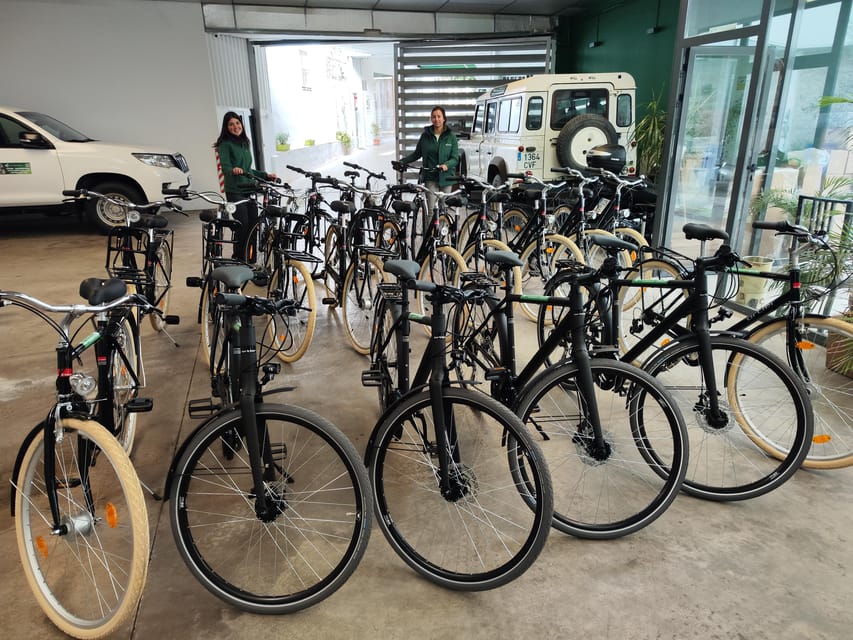 Seville: Bike Rental - Where you pick up and drop off (five options) and why it matters