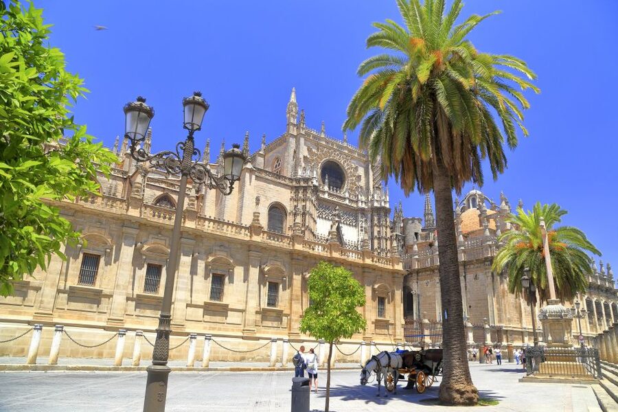 Seville: Cathedral, Giralda & Alcazar Entry With Guided Tour - A Fast, Effective Way to Cover Seville’s Must-See Pair
