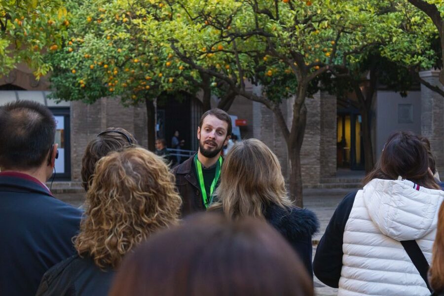 Seville: Cathedral, Giralda & Alcázar Guided Tour - Entering Seville: where you start and how the route feels