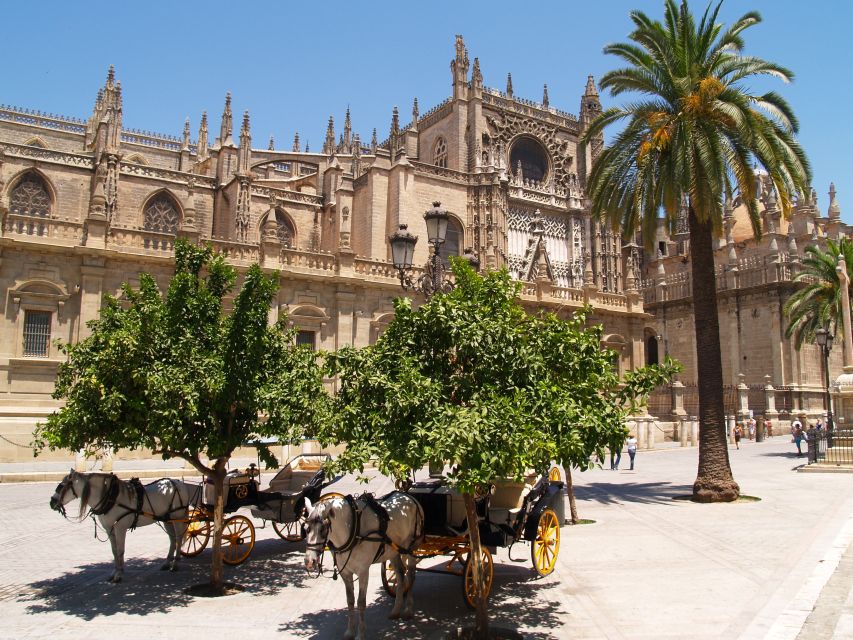 Seville: Cathedral & Giralda Guided Tour with Entry Tickets - Giralda Bell Tower Climb: Slopes, Short Steps, and the Best Views