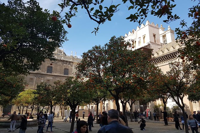 Seville Cathedral Tour including tickets and skip the line entry - The Cathedral Main Event: What You’ll See Up Close