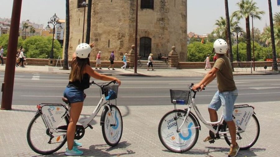 Seville City Bike Tour: Top Seville's Monuments - Barrio Santa Cruz to Jardines de Murillo: the city’s mood shift