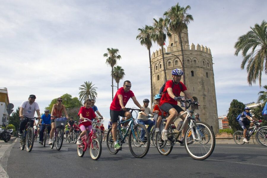 Seville City Bike Tour: Top Seville's Monuments - Triana streets and the Setas de Sevilla pause at Campana Café