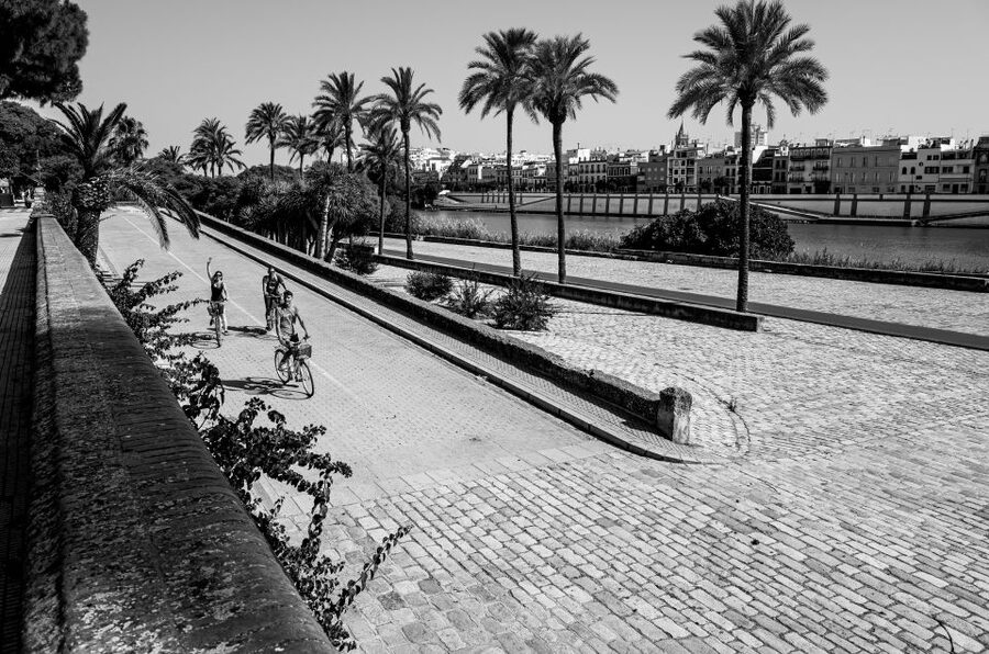 Seville: City Sightseeing and Local Culture Bike Tour - Local tips you’ll use after you park the bike
