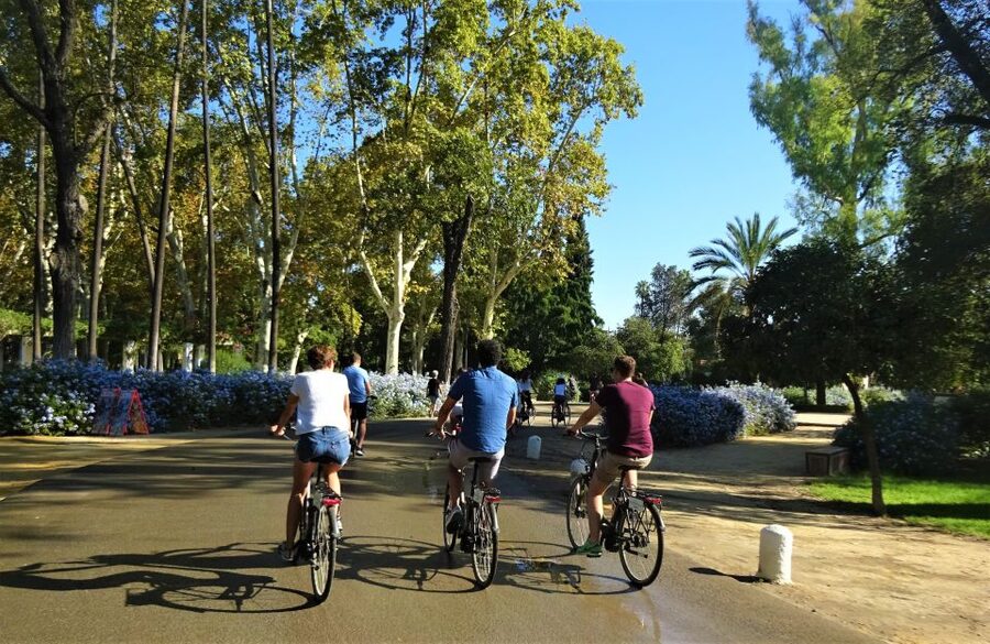 Seville: Electric Bike Tour in Small Group - Plaza de España and Maria Luisa Park: the stop that earns its hype