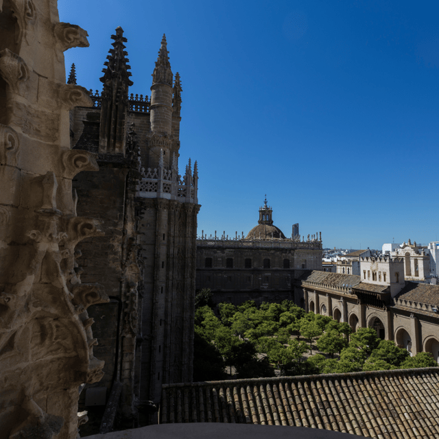 Seville: Fast Track Cathedral Giralda Tower Last minute Tour - Practical tips so your visit stays smooth