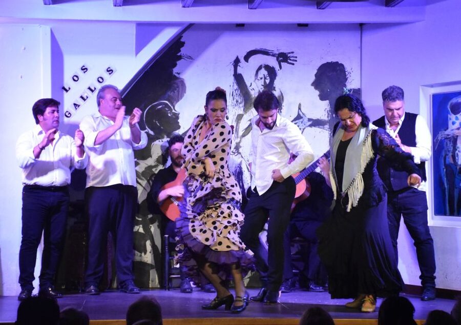 Seville: Flamenco Show at Tablao Los Gallos - Who Should Book Tablao Los Gallos (and Who Should Skip It)