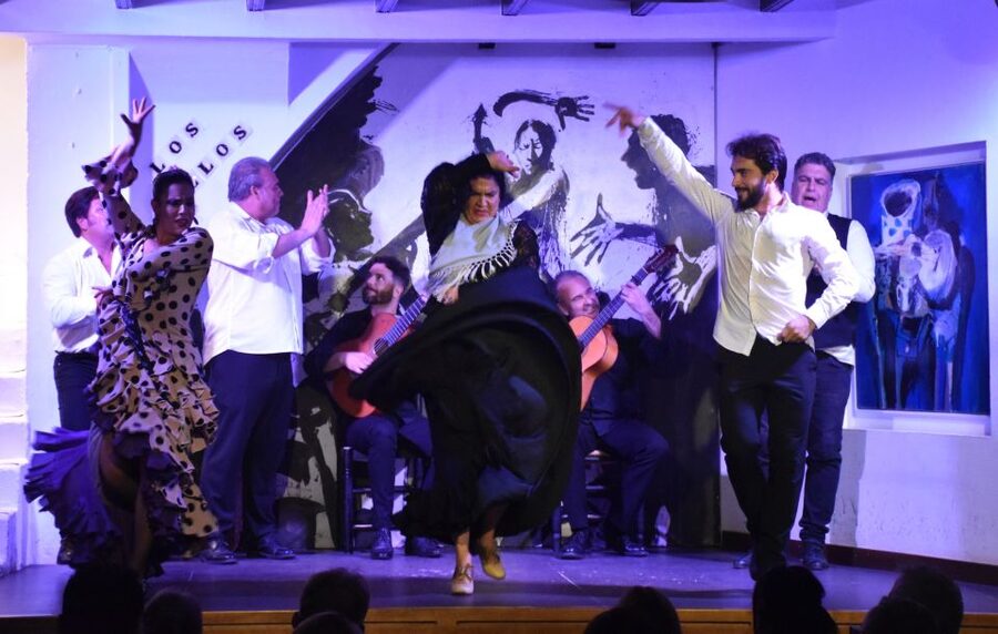 Seville: Flamenco Show at Tablao Los Gallos - The Bottom Line: Should You Book Tablao Los Gallos in Seville?