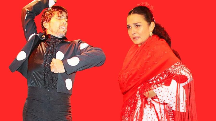 Seville: Flamenco Show & Cocktail Experience - Your 1-Hour Plan: Arrive, Get Seated, Then Let the Rhythm Take Over