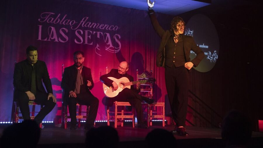 Seville: Flamenco Show & Roof Dinner with Cathedral Views - Tablao Flamenco Las Setas: Flamenco Close Enough to Hear the Details
