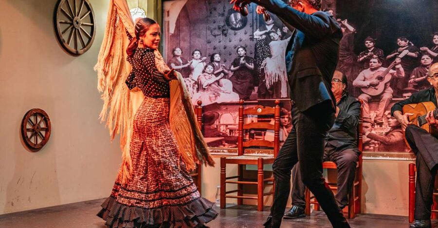 Seville: Flamenco Show with Andalusian Dinner at La Cantaora - Key things I’d target before you go