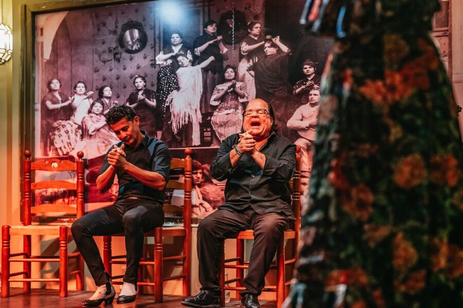 Seville: Flamenco Show with Andalusian Dinner at La Cantaora - The show itself: singers, guitar, and dancers in a tight 90 minutes
