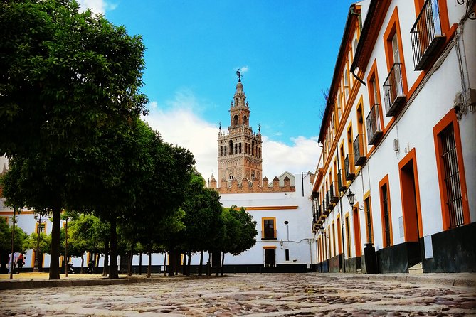 Seville Full Day Tour - Getting Oriented: Alfalfa Square and Salvador Square