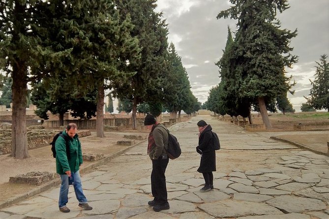 Seville: Games of Thrones and Roman Empire Italica Tour - The amphitheatre: where Rome meets the Dragonpit
