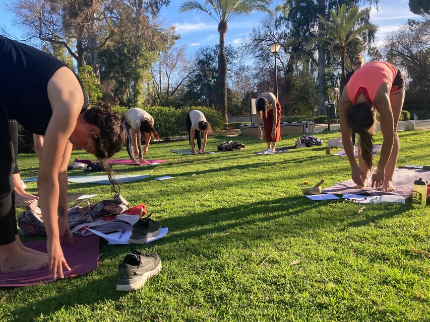 Seville: Group Yoga classes All levels - in French - Key highlights at a glance