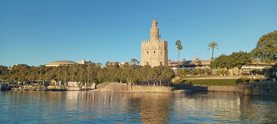 Seville: Guadalquivir Boat Tour with Optional Lunch/Dinner - Music, bar service, and how the hosting style affects your trip