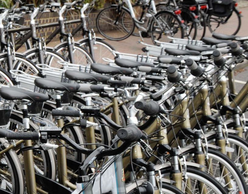 Seville: Guided Tour by Electric Bike - ATD BIKES Meeting Point and the “What the Ride Actually Feels Like” Part