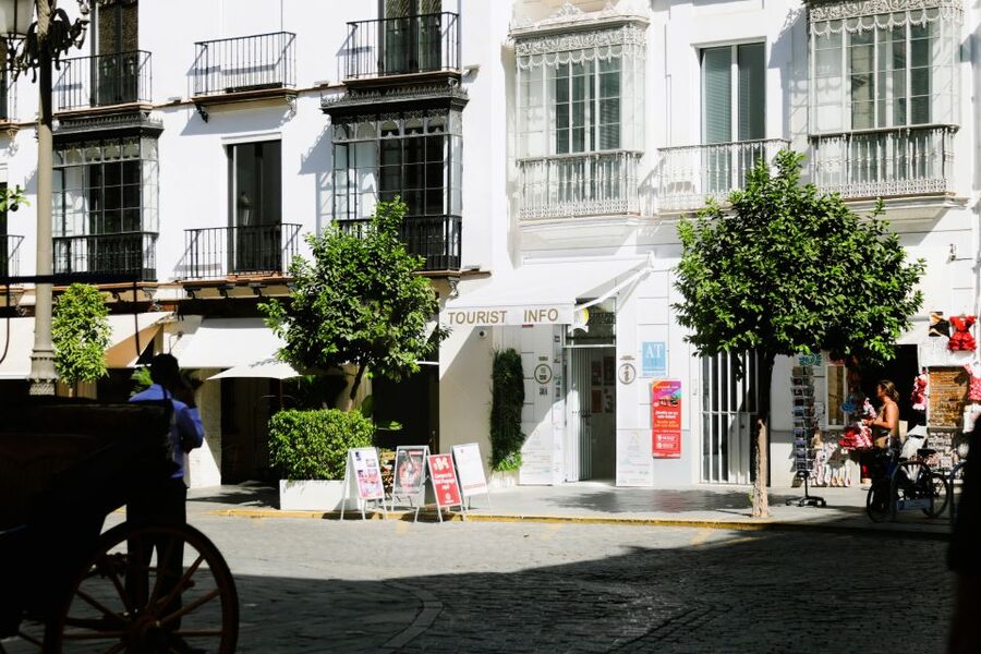 Seville: Guided Tour of Cathedral of Seville & Giralda Tower - Who This Tour Suits Best (and Who Should Think Twice)