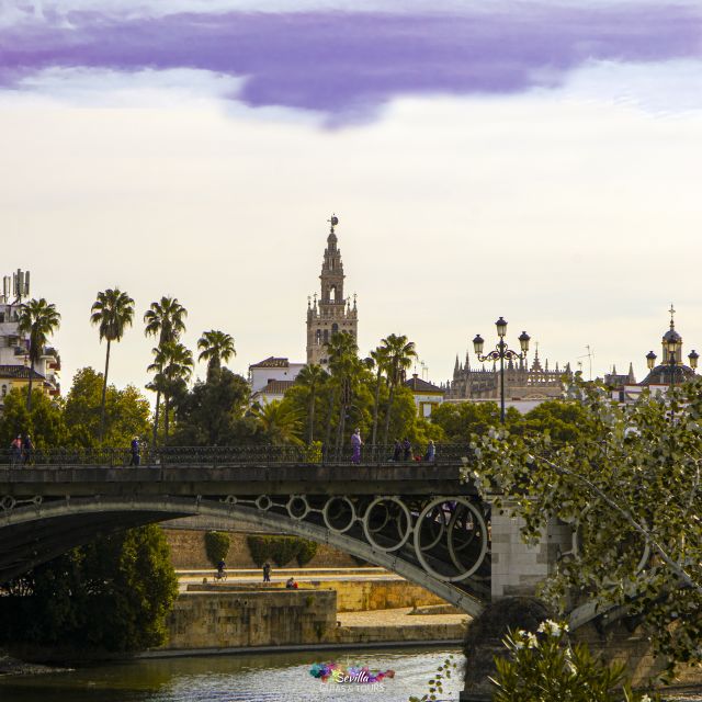 Seville: Guided Walking Tour with Optional Breakfast - Seville Cathedral from the Outside: What to Notice on the Walls