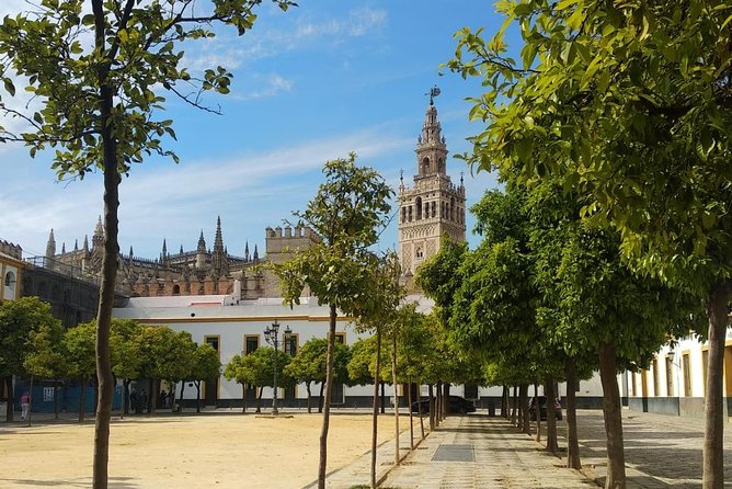 Seville Highlights Private Walking Tour - The Royal Alcázar and Seville Cathedral: outside views with the right context
