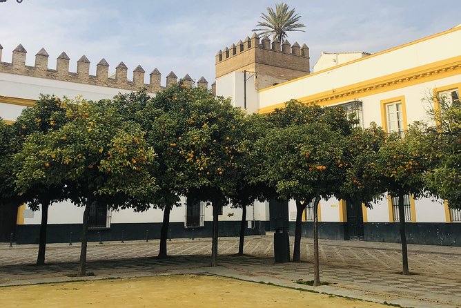 Seville Highlights Private Walking Tour - English commentary that stays clear, not stuffy