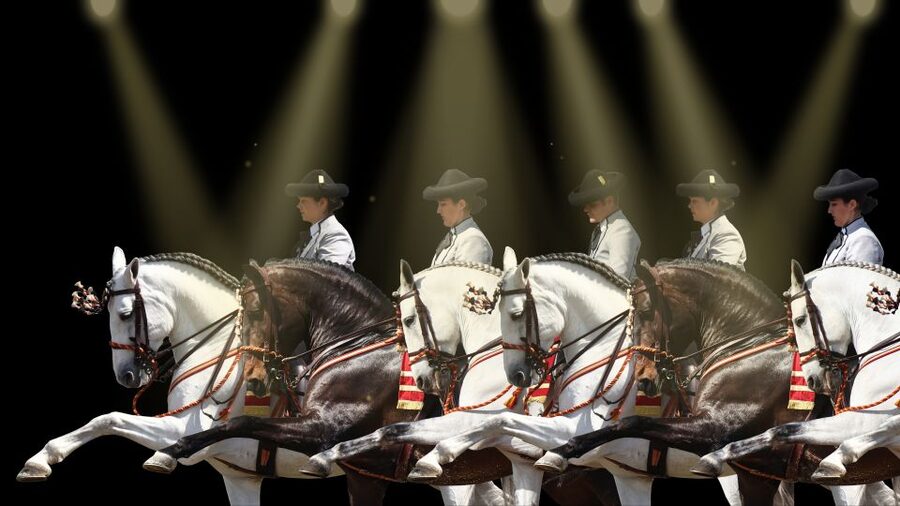 Seville: Horse's Show Entry Ticket. Optional Stud Farm Visit - Timing: plan around a 45-minute to 2-hour window