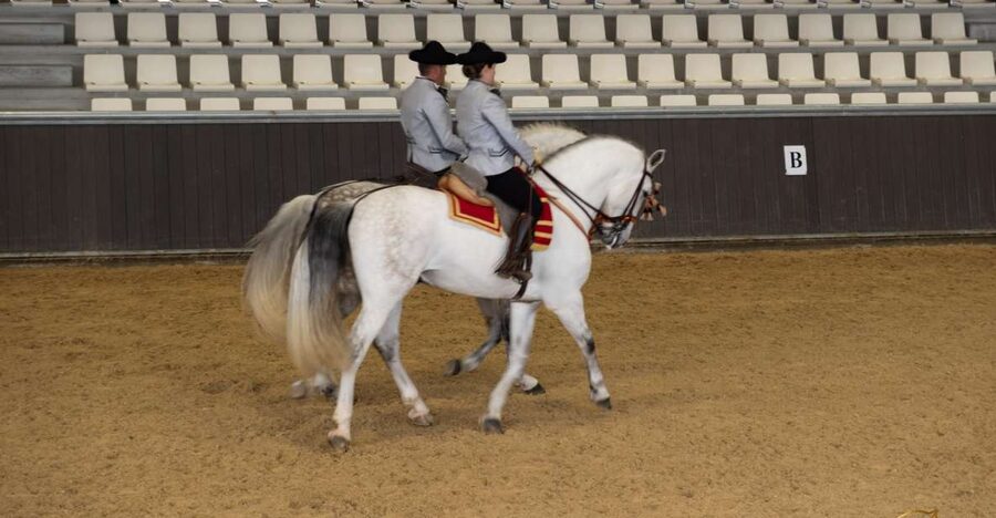 Seville: Horse's Show Entry Ticket. Optional Stud Farm Visit - Story of a Champion: seven stops that link human values with horse training