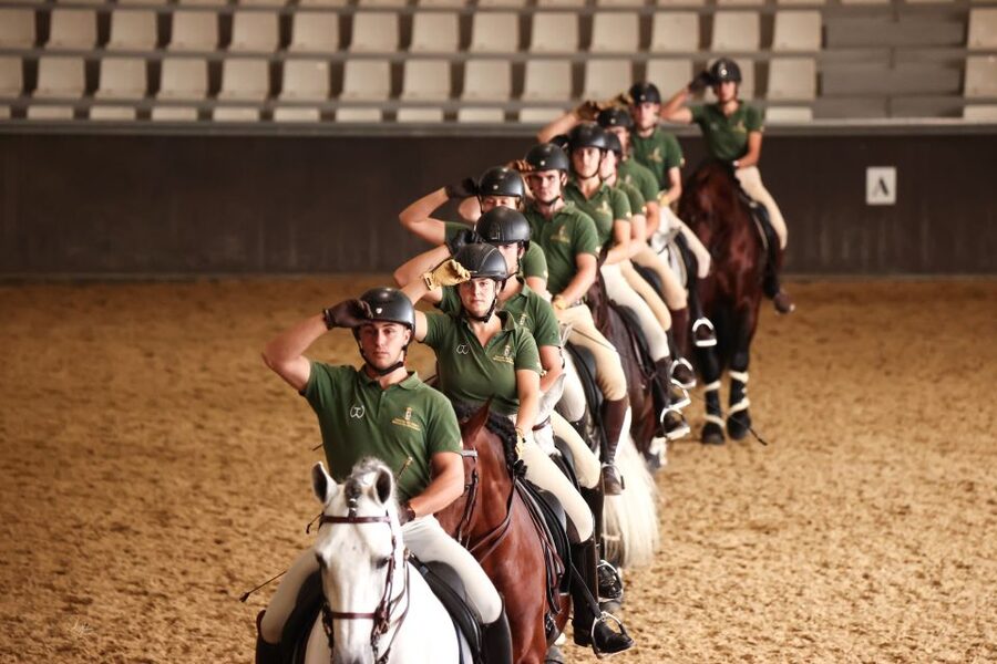 Seville: Horse's Show Entry Ticket. Optional Stud Farm Visit - How the visit connects to the show (and why that pairing matters)
