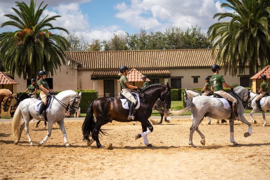 Seville: Horse's Show Entry Ticket. Optional Stud Farm Visit - TRADITIONS show: what you’re actually watching