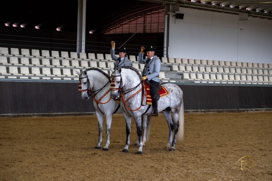 Seville: Horse's Show Entry Ticket. Optional Stud Farm Visit - Getting there from Seville: transport and wayfinding reality check